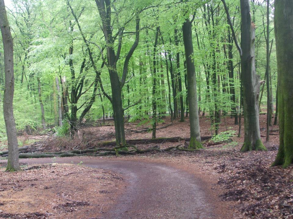 10264556_10203935885625854_6392971244224708923_n