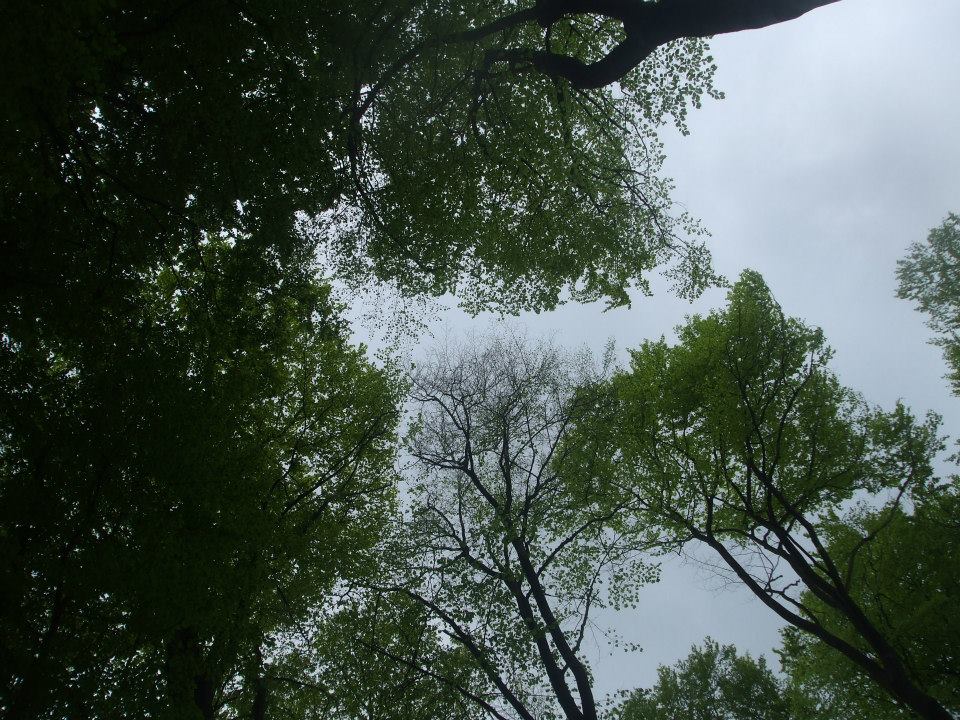 10298757_10203935886505876_2839382947125393737_n