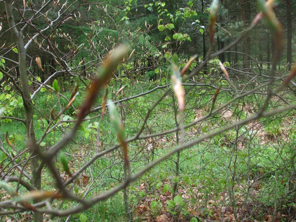 10325332_10203935884065815_5516550318981505947_n