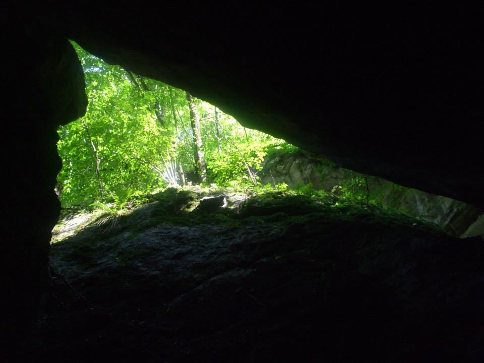 1095051_10201852174734384_1779690322_n