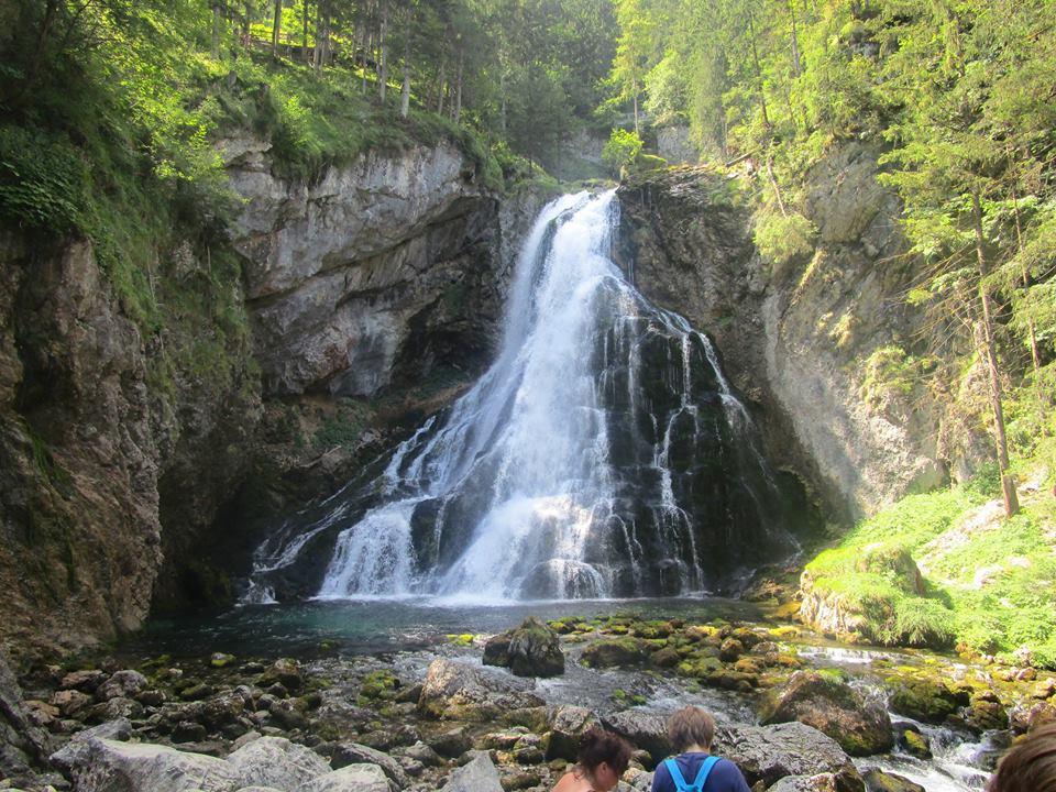 11030271_10207441925754666_8872357409661944627_n