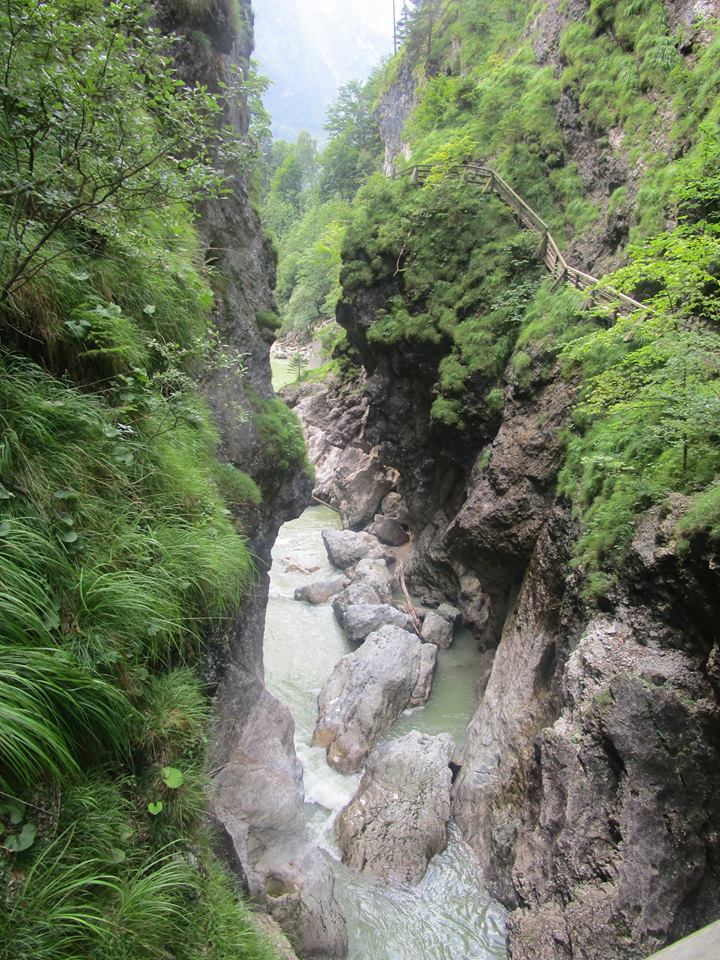 11705175_10207430278703497_8636325761087794989_n