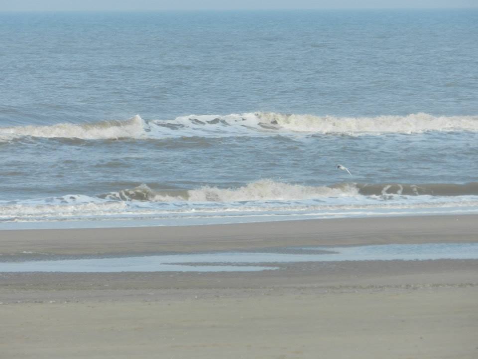 1374169_10202416720407673_1032182983_n