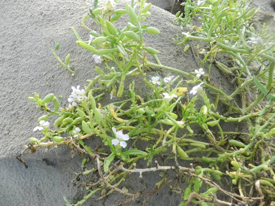 1385236_10202416718647629_978772397_n