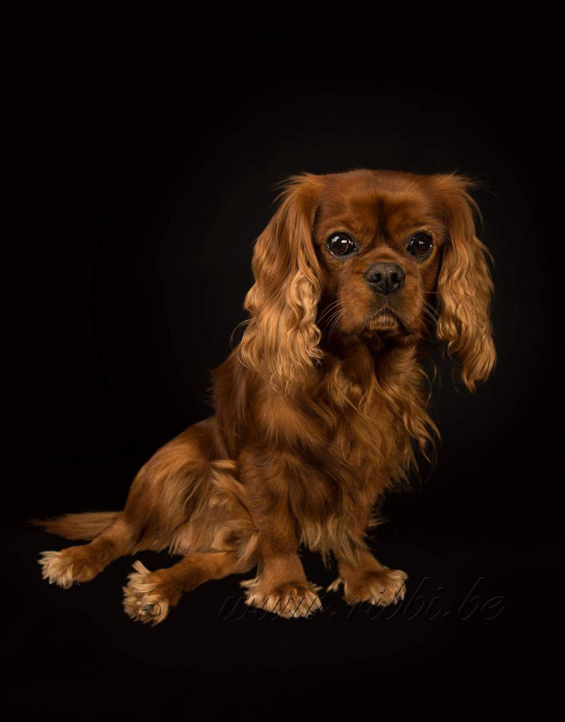 received_520422601641269